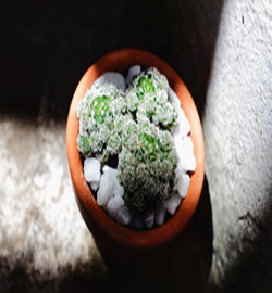 风水宝地：子孙富贵百代千年不衰