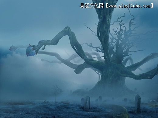 怎么在公墓里选个风水好的墓穴呢