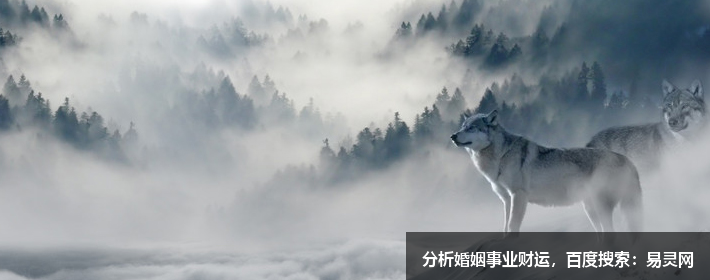 为什么民间的算命先生，近几年越来越少了？总算知道了