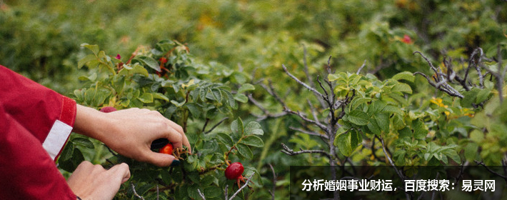风水故事：黄仙送子