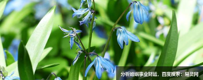 命理哲文：熟读深思子自知