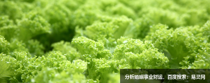 连山易风水