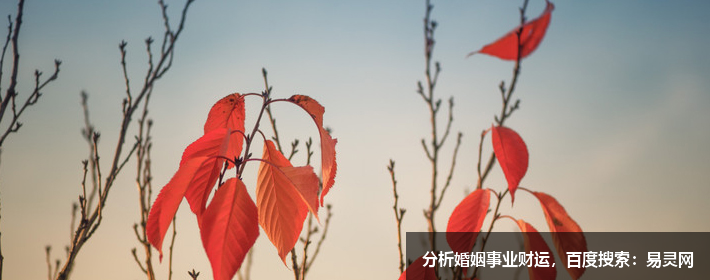 塔罗牌占卜：我跟他还能心意相通吗？