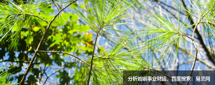 塔罗牌占卜：五月，你会遇到小人吗？