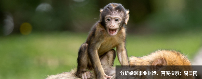 阳宅风水：房屋西方有水，易出武状元发大财（排行老三明显）