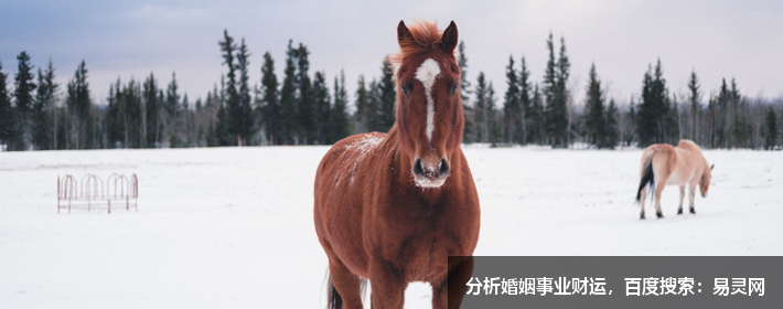 买房必须知道的风水禁忌不能错过