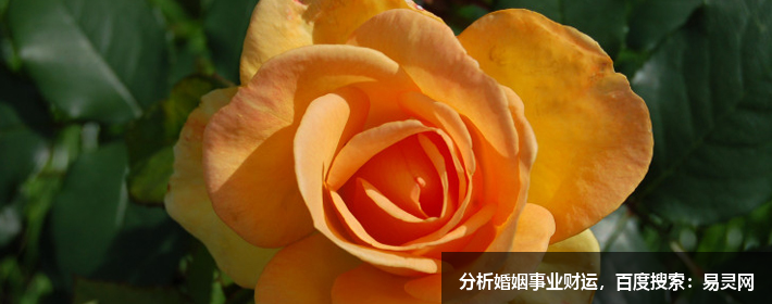 四柱八字入门（十八）八字的格与局是什么？