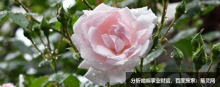 何知人家出文毫？风水大师一目了然！