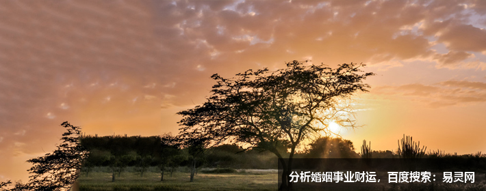 家居风水：杂乱是住宅环境的大敌！