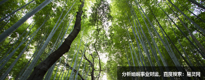 职场办公桌布置有什么讲究？