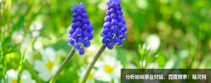 风水宝地：一案藏着万重煞！