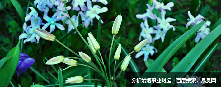 越住越穷的家居风水格局是这样