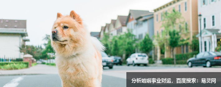 听老人说，阳宅风水注意这些口诀，家里就会风调雨顺，大吉大利！