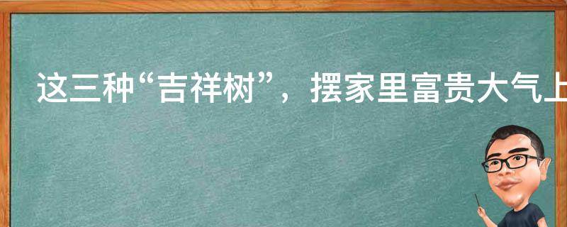 每日风水知识：这三种“吉祥树”，摆家里富贵大气上档次，谁看了都喜欢