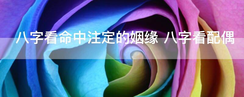 八字看命中注定的姻缘 八字看配偶