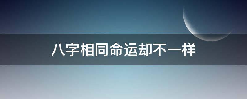 八字相同命运却不一样