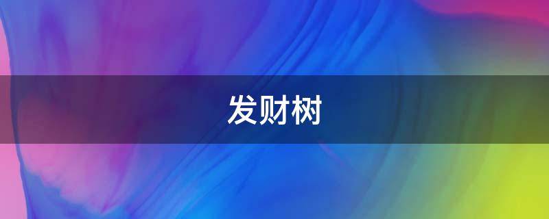 发财树哪个属相不能养？