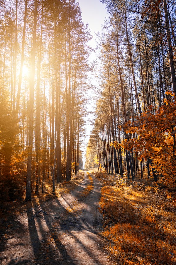 墓地风水，阴宅管人丁