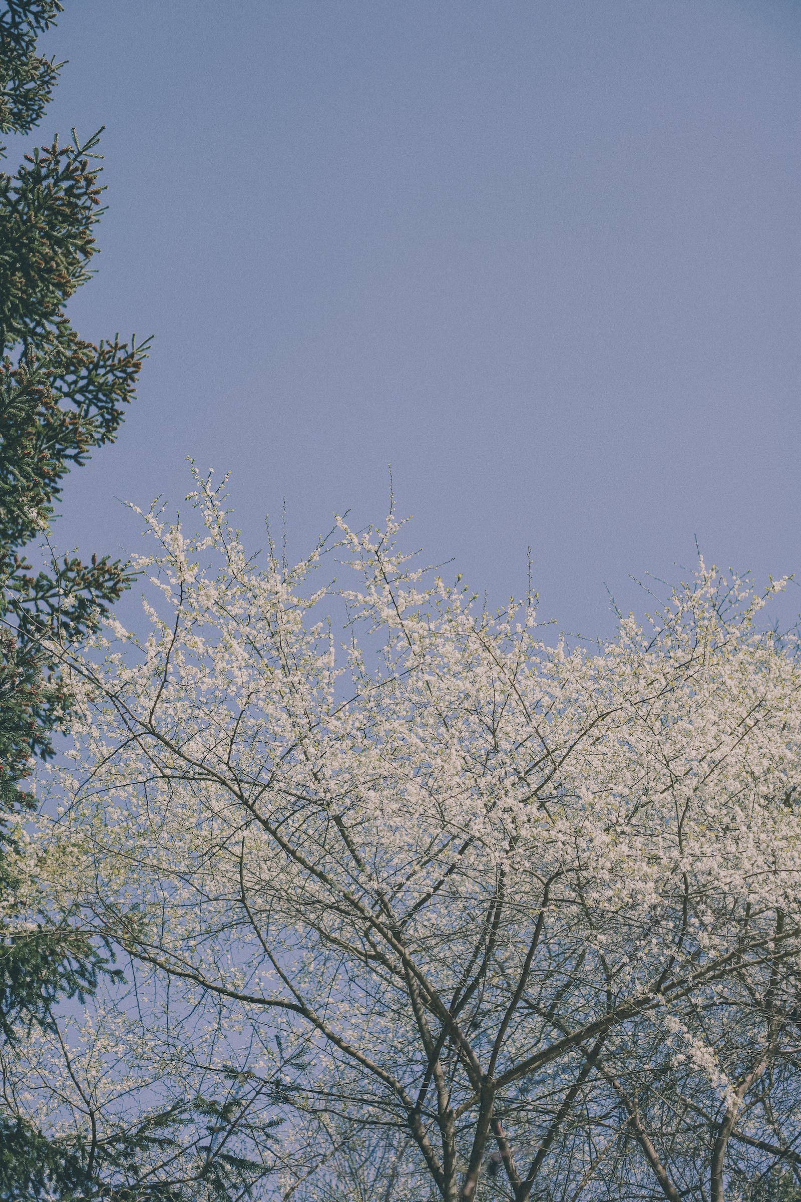 八字