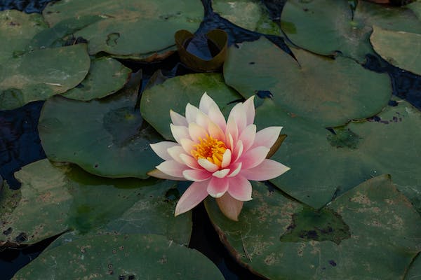 阴宅风水中墓地对后代的影响有哪些