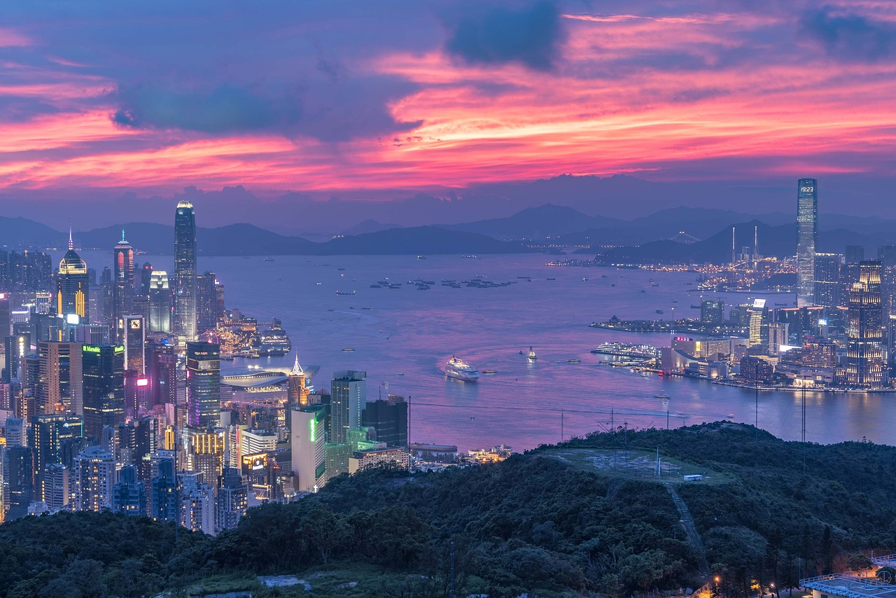戌库在2024年会发财 2024年如何看财库