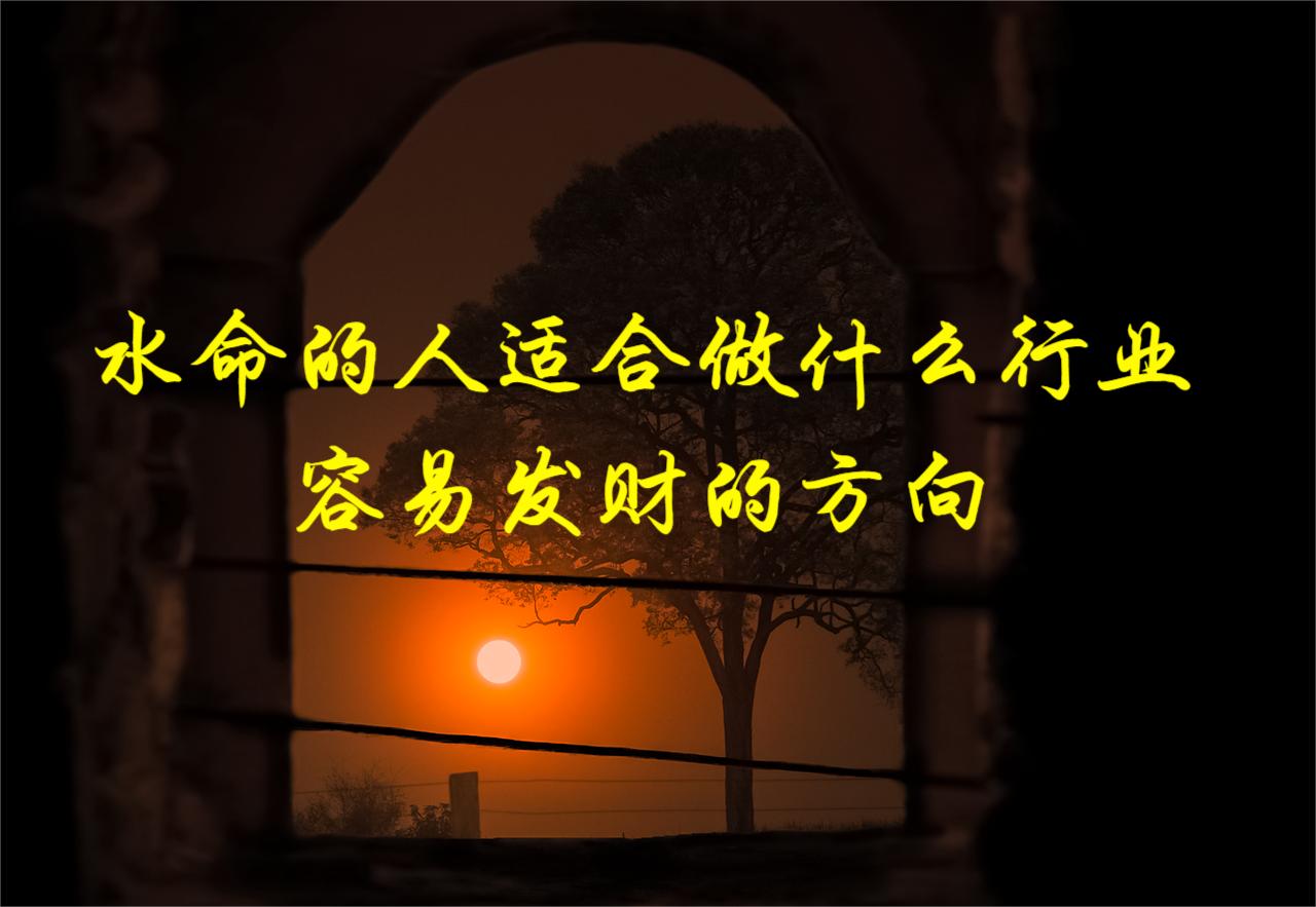 水命的人适合做什么行业 容易发财的方向