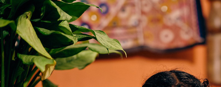 虎皮兰招财还是破财？ 