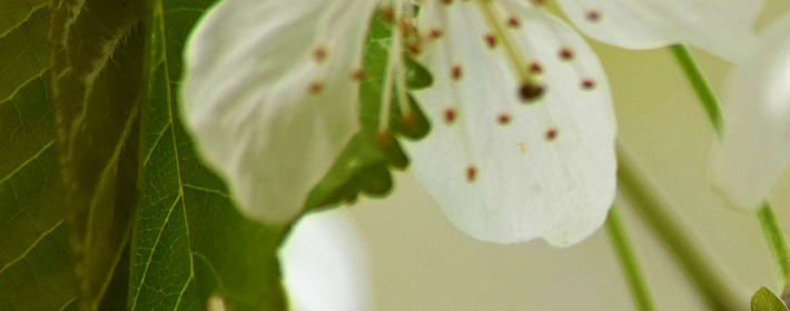 何为“八运”贝财运？ 