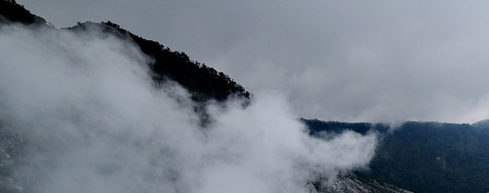 “家中现5喜，子孙出能人”，“5喜”分别指的是什么？