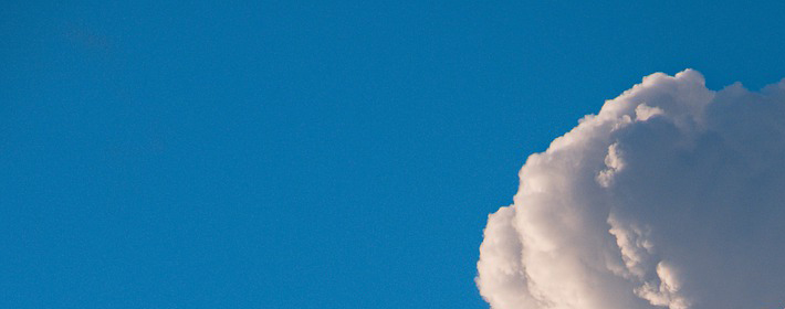 养狗是聚财还是破财？