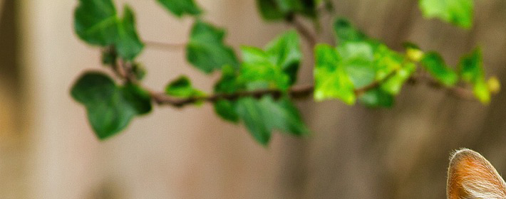 2026年大吉大利方位 