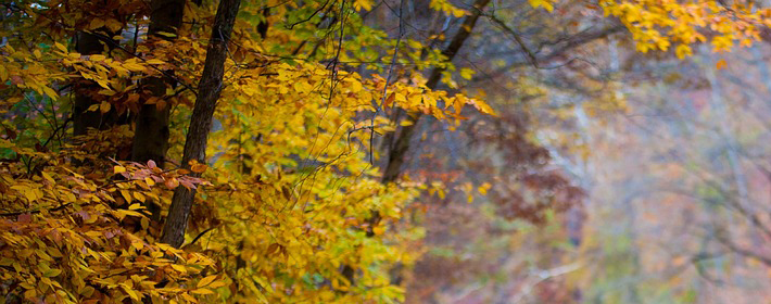 天地之气交媾而生人之原理