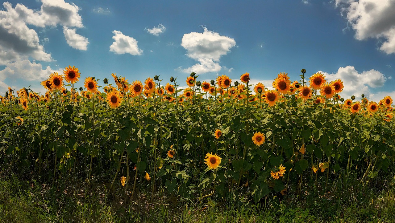 专门克小人的风水挂件