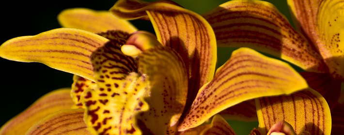 会让人变得越来越风流的卧室风水