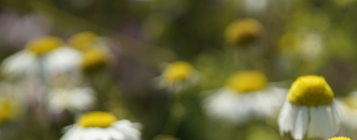 老话说“进了腊月门，五事莫问人”，指哪5件事？