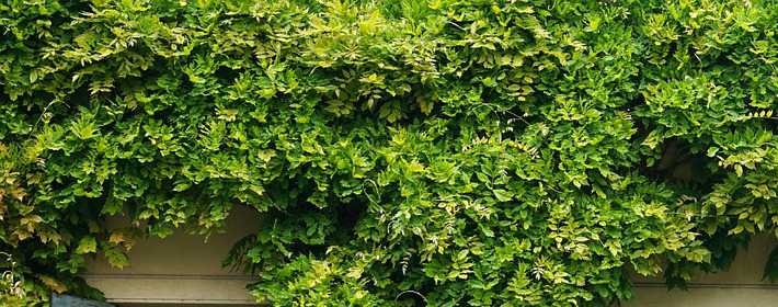 如何从客厅布局看家运的发展