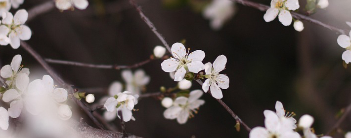 17楼为什么是黄金楼层