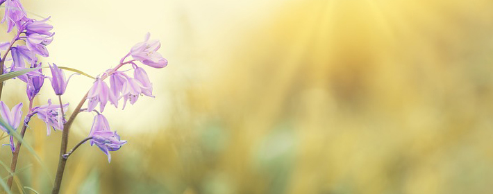 吉宅风水必备条件