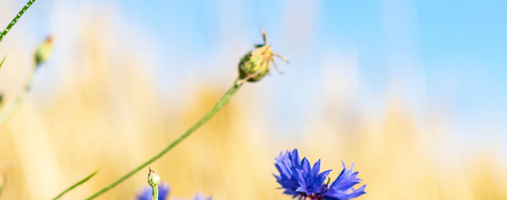 选楼房要忌讳的哪几层