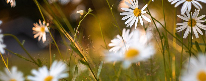 别墅挨着高层的房子好不好