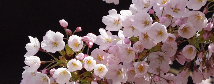 家居颜色风水原则