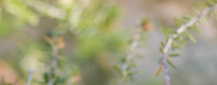 九星水法与辅星水法的比照