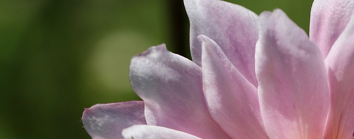 卧室枕头下放红线响姻缘吗