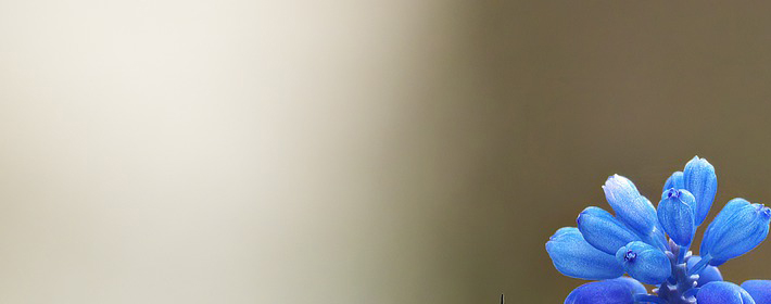 出贵人地的24种特征