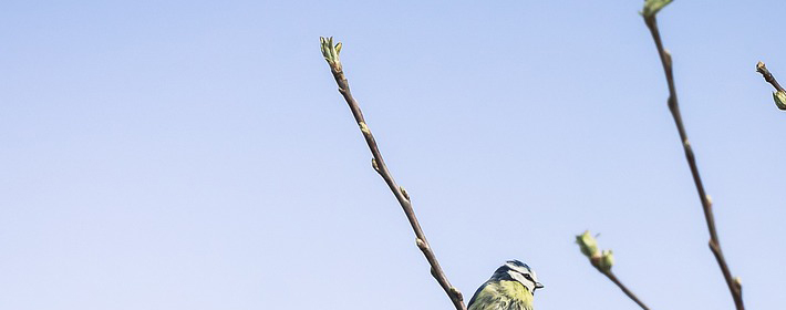 家居卧室颜色风水禁忌