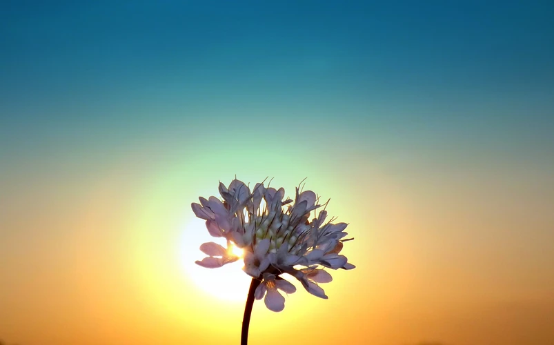 壁虎进家里有迷信说法