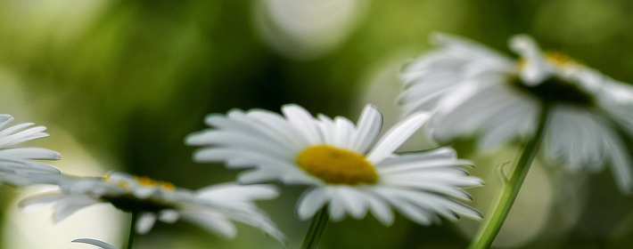 家居厕所风水禁忌