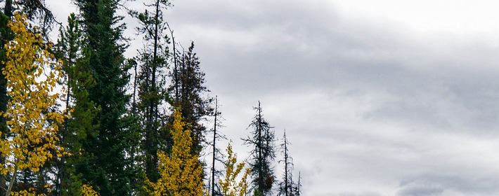 怎样看楼房的风水